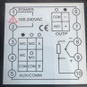 Температурный контроллер AI-207D21GL0 (для грануляторов HKD)